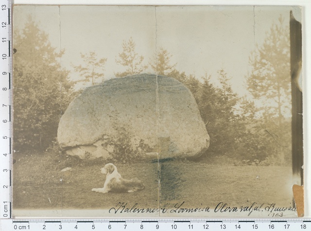 Kalevikivi, Loomõisa Olova Field in Kuusalus 1903