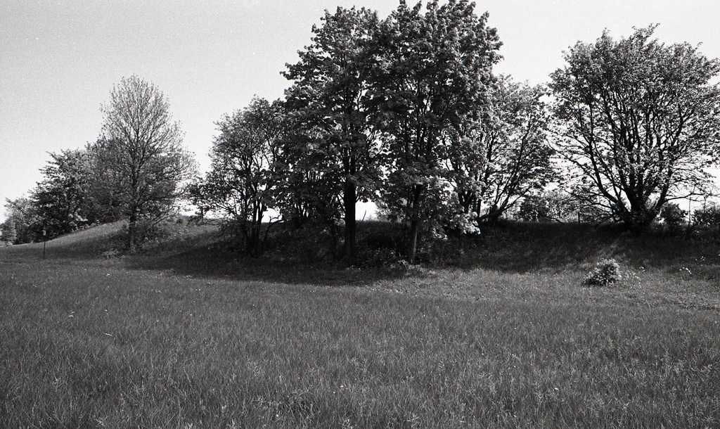 Asva kindlustatud asula