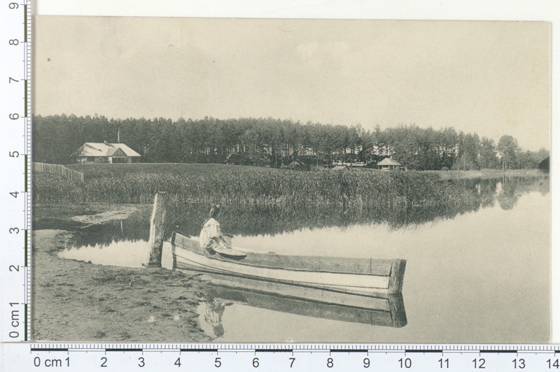 Elva vaade, järv