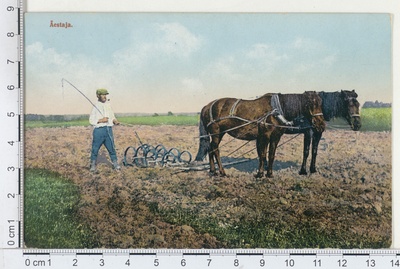 Eesti tüübid, äestaja  duplicate photo