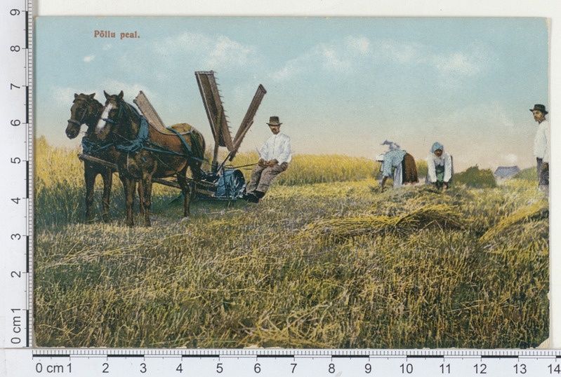 Eesti tüübid, põllu peal