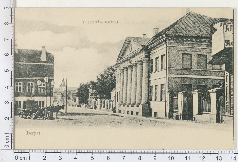Tartu veterinaar instituut