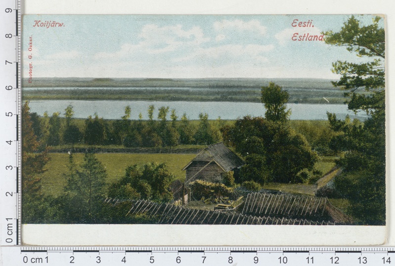 Koitjärv