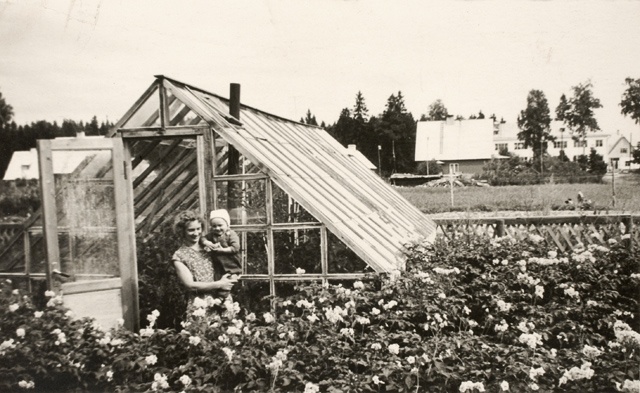 Home garden with greenhouse
