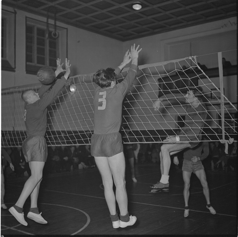 Eesti esivõistlused võrkpallis