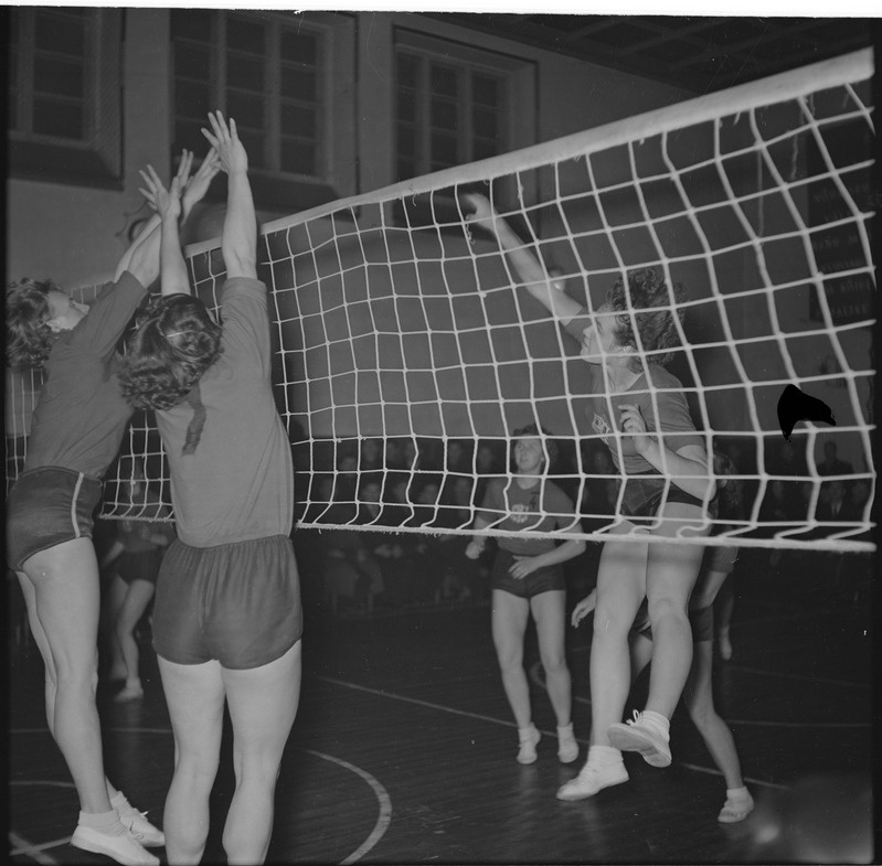 Võrkpall Tallinn-Riia