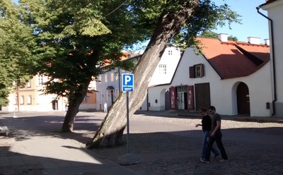 Tallinn, Toompea, Kiriku plats, pärnad Toomkiriku ees. rephoto