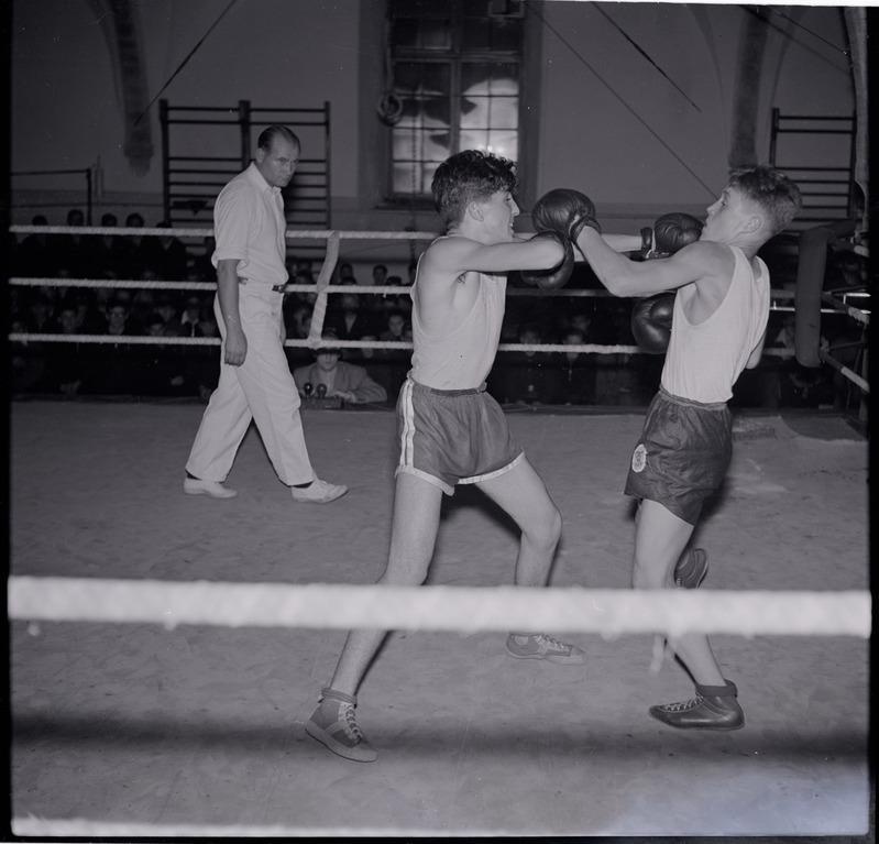 Tallinna esivõistlused poksis