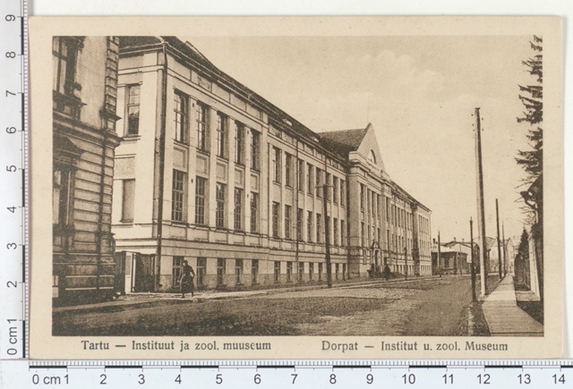 Tartu, Institute and Museum of Zoology
