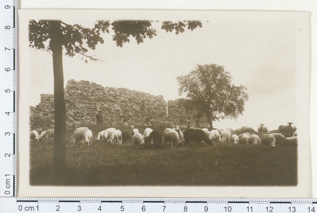 Viljandi, view of castle ruins