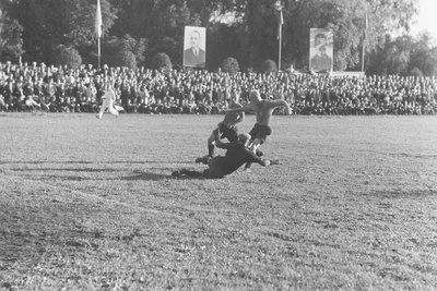 Jalgpall  similar photo