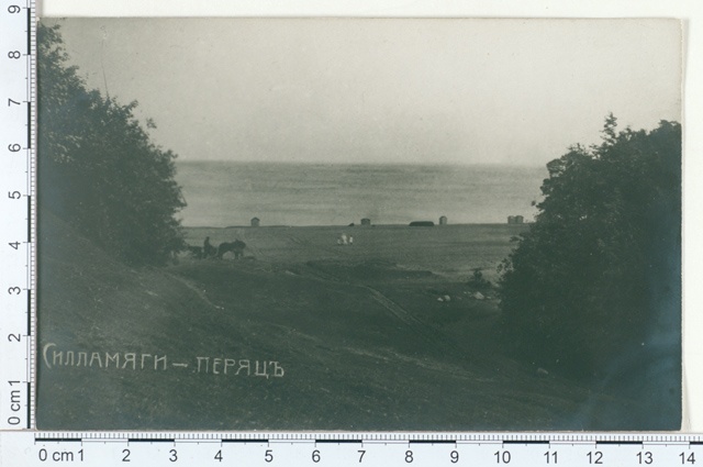 Permanent, landscape