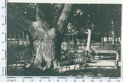 Kuressaare, view of the park  duplicate photo