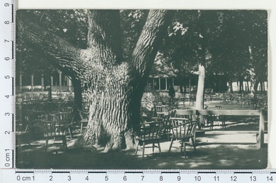 Kuressaare 1910  duplicate photo
