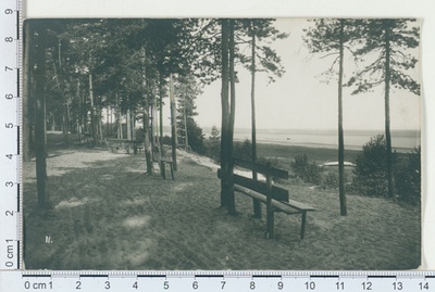 Võsu 1911  duplicate photo