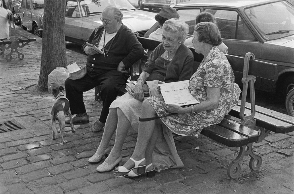 People and dogs in Paris, France, in autumn 1982.; Ihmisiä ja koiria Pariisissa syksyllä 1982.