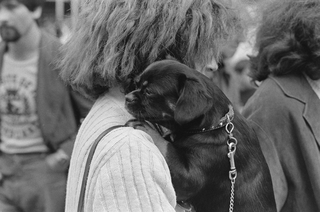 People and dogs in Paris, France, in autumn 1982.; Ihmisiä ja koiria Pariisissa syksyllä 1982.