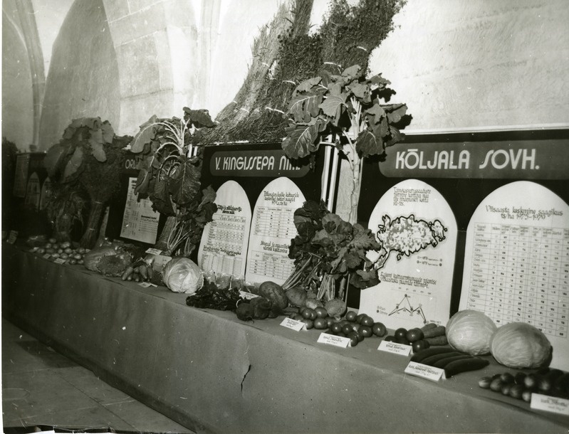 Põllumajanduse arengut tutvustav ekspositsioon Kingissepa rajooni rahvamajanduse saavutuste näitusel