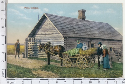 Piimavedajad  duplicate photo