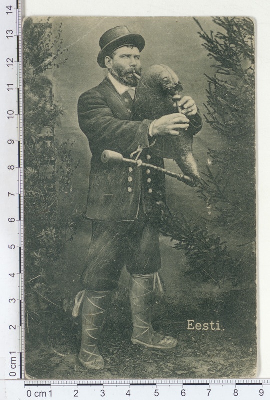 Eesti torupillimängija