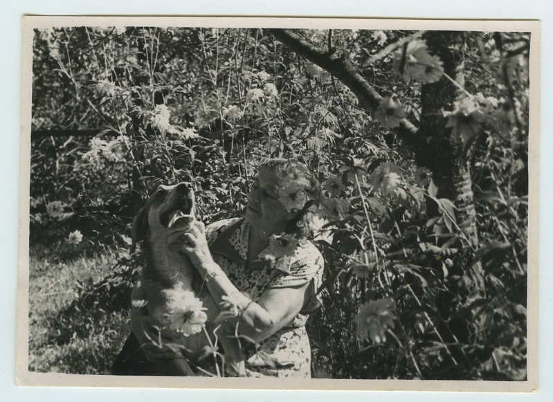Foto V. Luts koeraga