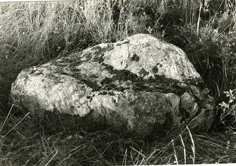 Kultusekivi Käo külas Kuuse talus