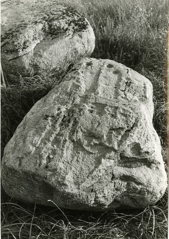 Ohvrikivid Audla külas Ooluti talu juures