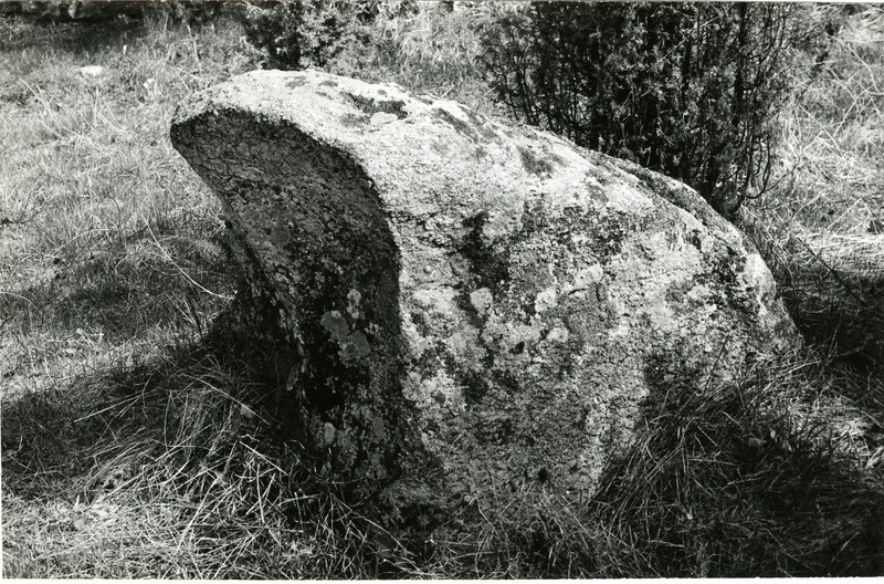 Kultusekivi Üüvere külas