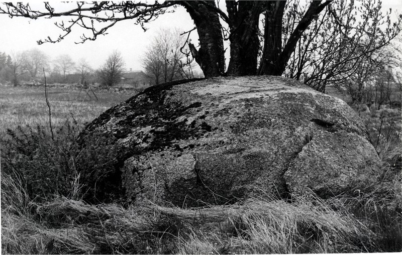 Kultusekivi Kahtla külas Rehe talu juures