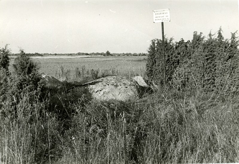 Kultusekivi Käo külas Käomäel