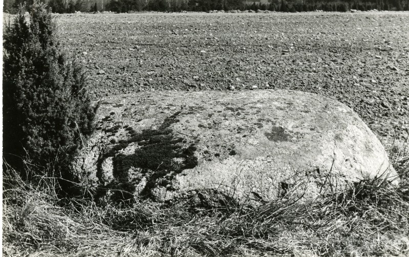 Aljava küla väikeselohuline kultusekivi Kunnati talu maal