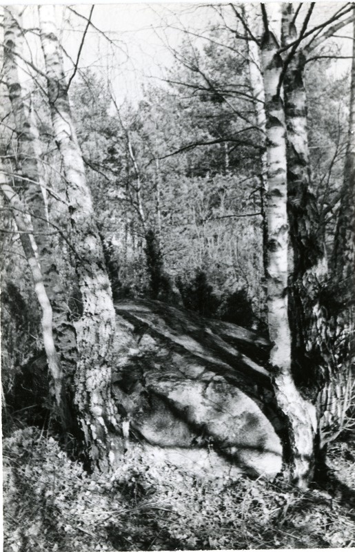 Raegma küla ohverdamispaik ohvrikiviga