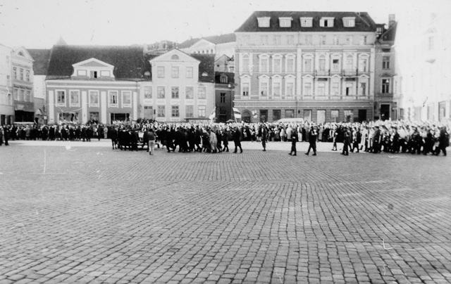 Constantin Pätsi rerouting, the mosquito on the Raekoja square