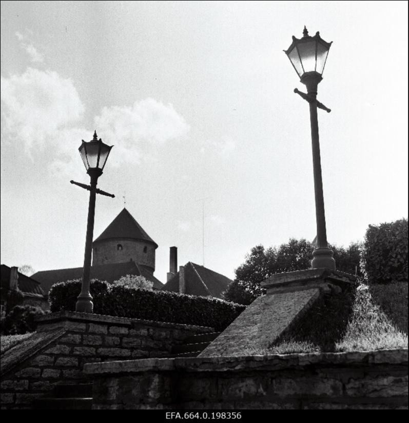 Vaade Harju tänavalt haljasalale.