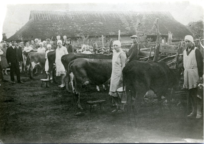 Lüpsivõistlused Kärdu külas