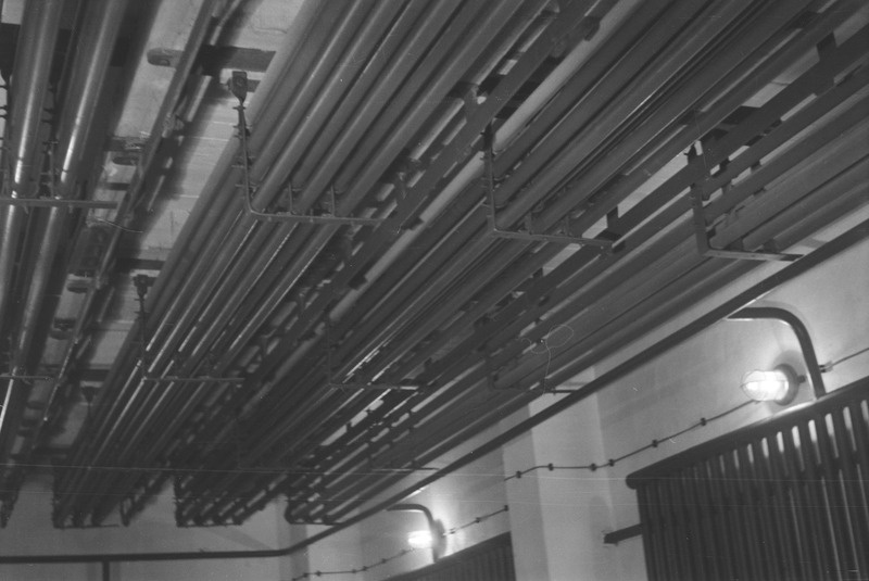 Rakvere Lihakombinaadi külmhoone avamine