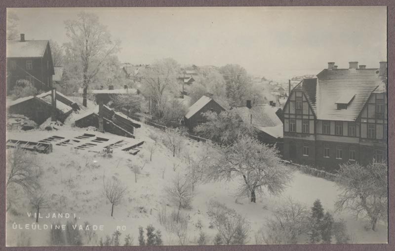 Photo, Viljandi, g. Rosenberg house, Long Tn, approx. 1915