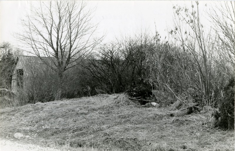 Kivikalme Ilpla küla Kaldjärve talu juures