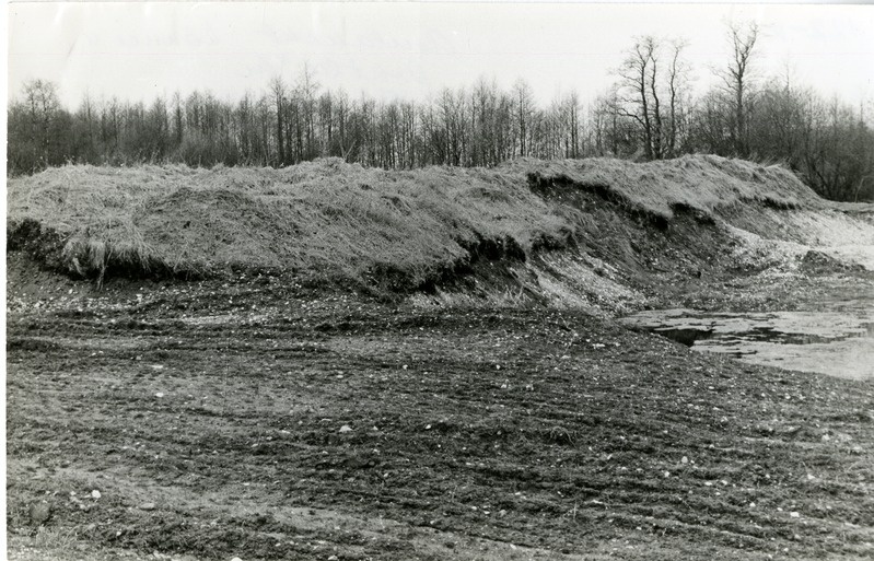 Asulakoht Kõnnu külas: vaade kagust