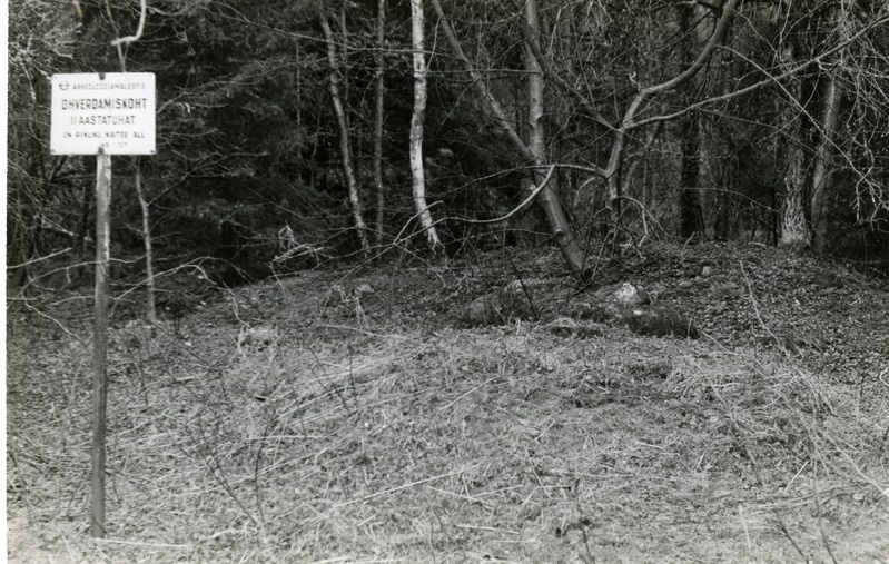 Ohverdamiskoht Tõlluste mõisa Kuusiku metsas