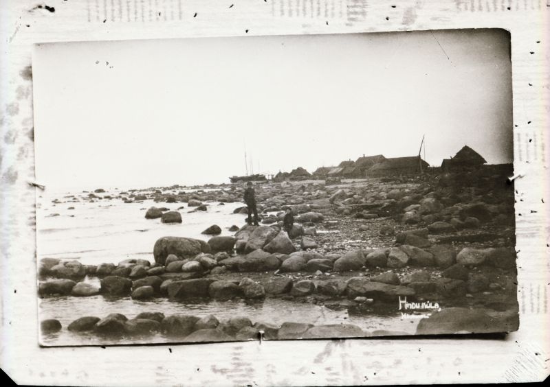 Negatiiv. Tselluloid. Albumis.