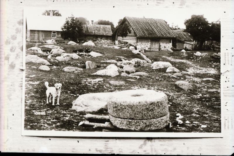 Negatiiv. Tselluloid. Albumis.