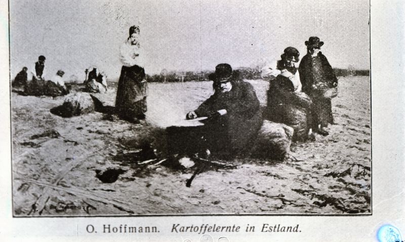 Negatiiv. Tselluloid. Albumis.