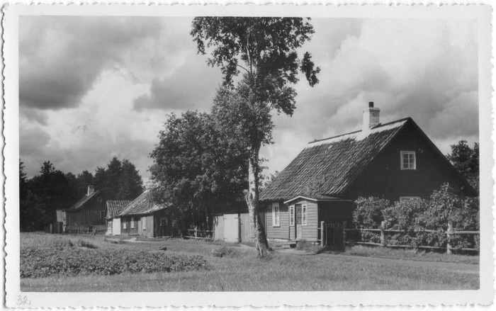 Kopli tänav Kärdlas. Tarningu ja Trauseri majad