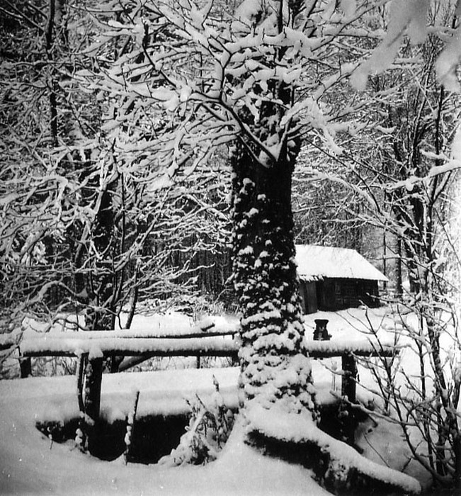 Foto: Paul Kammi sünnikodu, sillake puude vahel, talvel