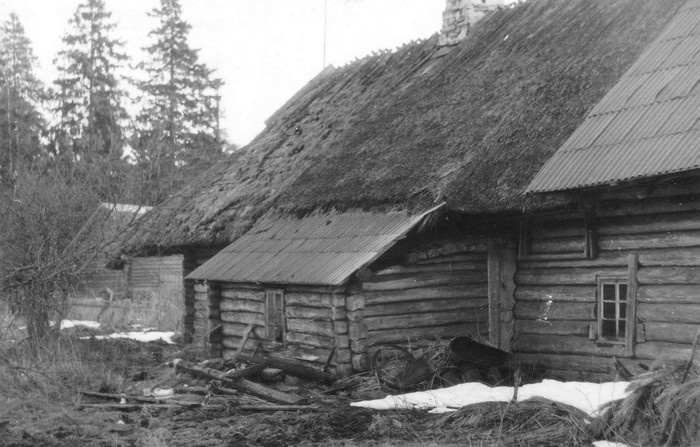 Mihkli talu Malvaste külas. Rehielamu tagakülg