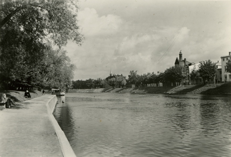 View along the shore of Emajõe