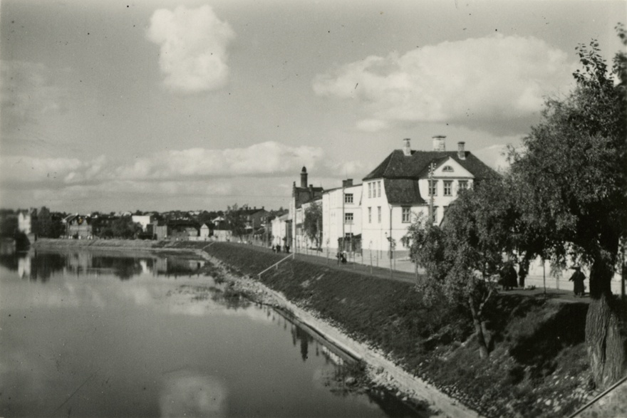 View along the shore of Emajõe