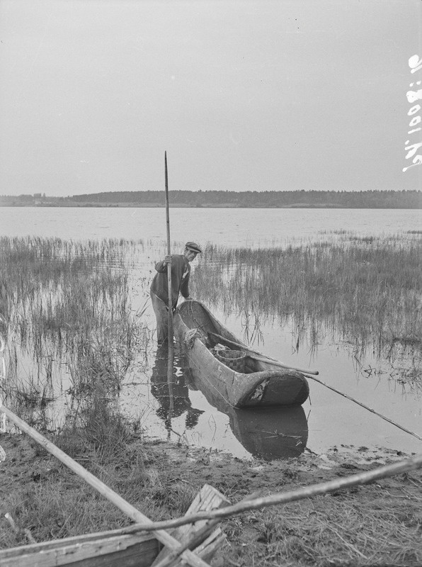 Vadjalane Sergei Mihhailov tuleb koriga järvelt kalalt, 23. VIII 42, Savvokkala k, Jarvikoisjarvi (Babino järv)