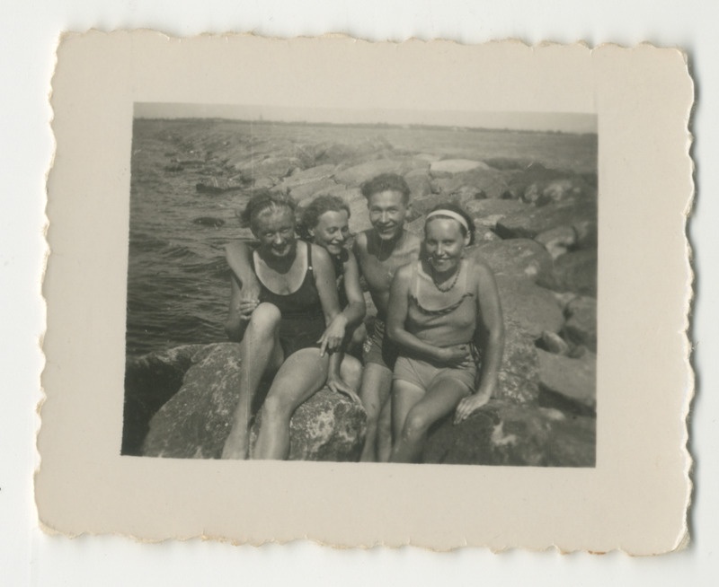 Foto. Seltskond muulil